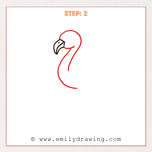 how to draw a cartoon flamingo - Step 2 shows a cartoon flamingo with a large head circle added behind the beak and two curved lines forming a long neck.